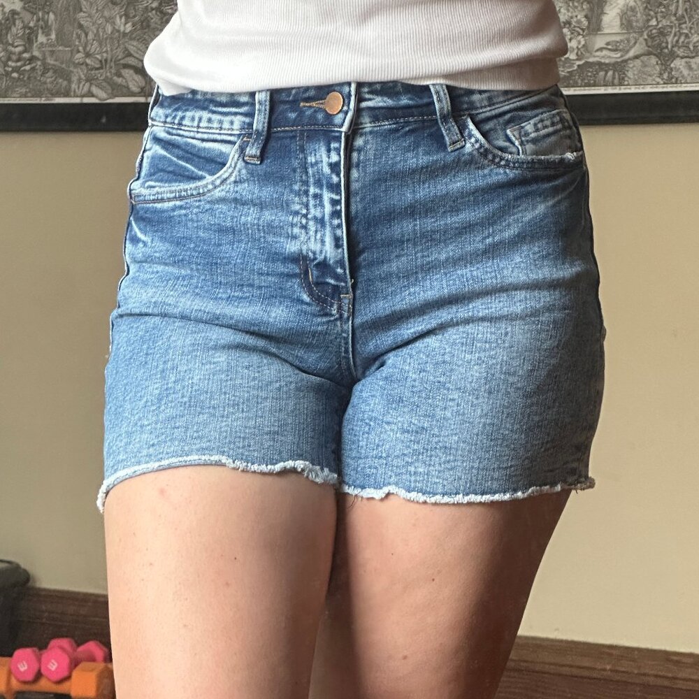 Flying Monkey Denim Cutoff Shorts